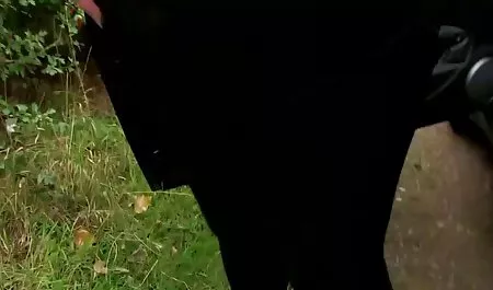 جیم اسلیپ با دو همراه پرواز پرواز می کند لینک کانال های فیلم سکسی تلگرام